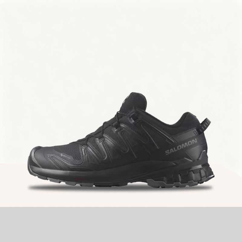 Salomon XA Pro 3D V9 GTX: Sepa - Salomon Shoes Xa Pro 3D ulasan dan harga